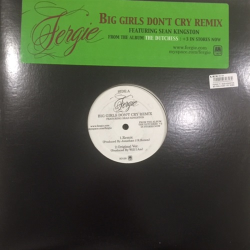 BIG GIRLS DON'T CRY REMIX(USED)