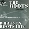 WHAT'S IN ROOTS 101?（USED)
