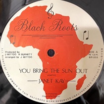 YOU BRING THE SUN OUT (USED)