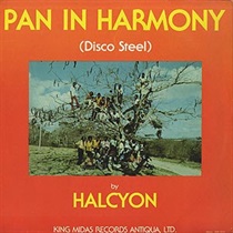 PAN IN HARMONY (USED)