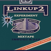 LINK UP 2 EXPERIMENT(2LP) (USED)