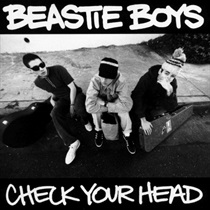 CHECK YOUR HEAD (USED)