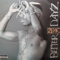BETTER DAYZ (USED)