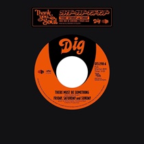 THERE MUST BE SOMETHING/POTATO SALAD(7INCH)