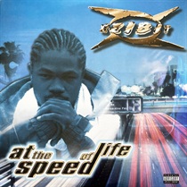 AT THE SPEED OF LIFE (USED)