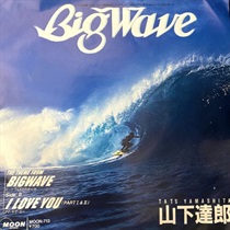 BIG WAVE (USED)