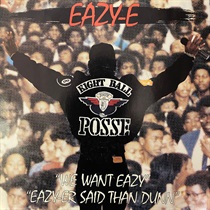 WE WANT EAZY (USED)