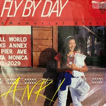 FLY BY DAY (USED)