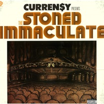 THE STONED IMMACULATE (USED)