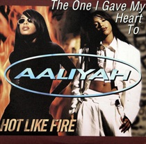 THE ONE I GAVE MY HEART TO / HOT LIKE FIRE (USED)