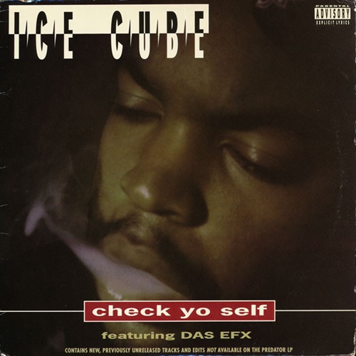 CHECK YO SELF FEAT. DAS EFX (USED)