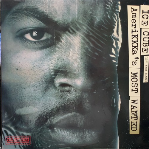AMERIKKKA'S MOST WANTED (USED)