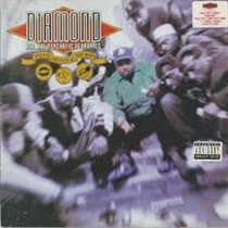 STUNTS BLUNTS & HIPHOP (USED)