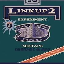 LINK UP 2 EXPERIMENT (USED)