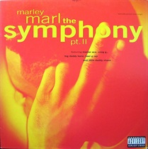 THE SYMPHONY PT II. (USED)