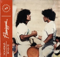 GREAT HAIR (ORANGE VINYL) (USED)