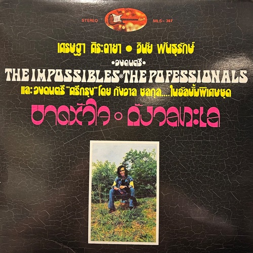 THE PROFESSIONALS (USED)