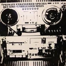UNRELEASED MIXES (USED)