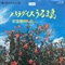 パラダイスうるま島/安里屋ゆんた (USED)
