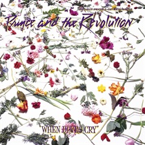 WHEN DOVES CRY (USED)