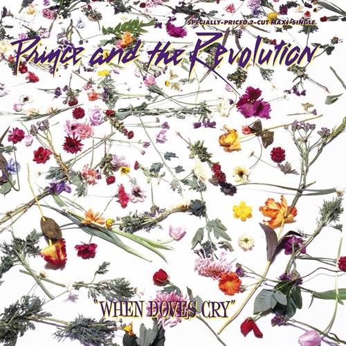 WHEN DOVES CRY (USED)