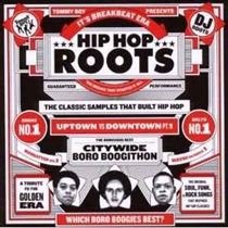 HIPHOP ROOTS (USED)