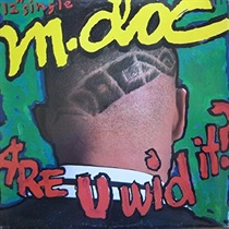 ARE YOU WID IT? (USED)