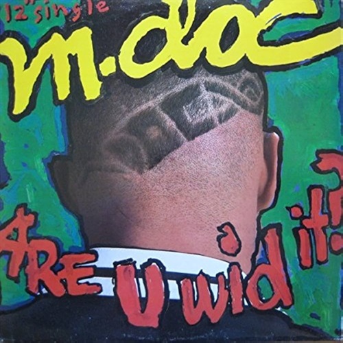 ARE YOU WID IT? (USED)