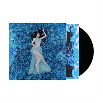 AMERICAN GOTHIC (USED)