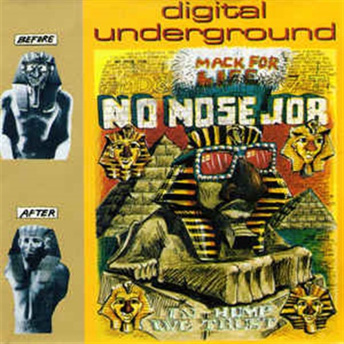 NO NOSE JOB (USED)