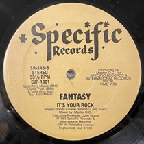 ITS YOUR ROCK  (USED)