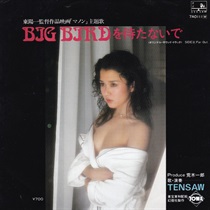 BIG BIRDを待たないで (USED)