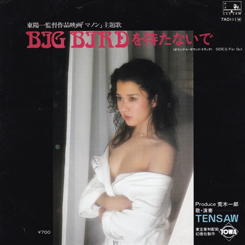 BIG BIRDを待たないで (USED)