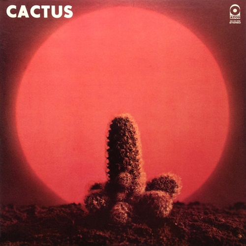 CACTUS (USED)