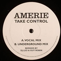 TAKE CONTROL(DJ LEO&GUY ROBIN REMIX) (USED)