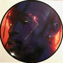 HIGHEST IN THE ROOM PICTURE DISC I (USED)