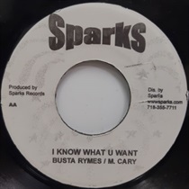 I KNOW WHAT YOU WANT (USED)