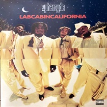 LABCABINCALIFORNIA (USED)