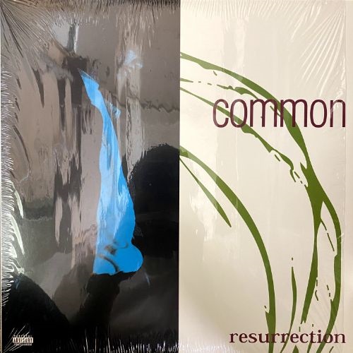 RESURRECTION (USED) | レコード・CD通販のマンハッタンレコード通販サイト