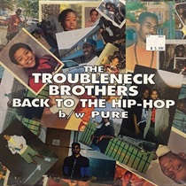 BACK TO THE HIP-HOP/PURE (USED)
