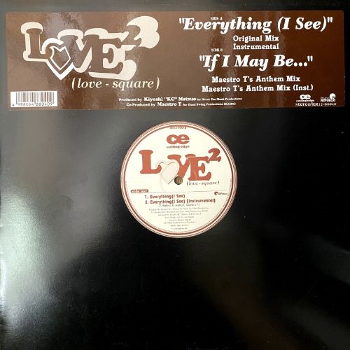 EVERYTHING (I SEE) (USED)