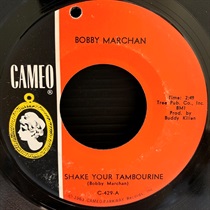 SHAKE YOUR TAMBOURINE (USED)