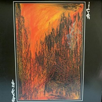 ライト (USED)