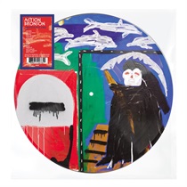 ONLY FOR DOLPHINS (LIMITED PICTURE DISC)