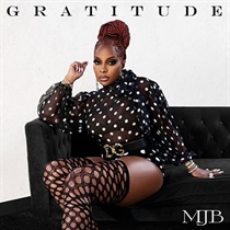 GRATITUDE(SILVER VINYL 1LP)