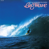 BIG WAVE 2025 VINYL EDITION(1LP)