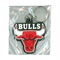 RUBBER KEYCHAIN (BULLS LOGO)