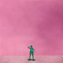 HEARTS SOLD SEPARATELY(1LP)