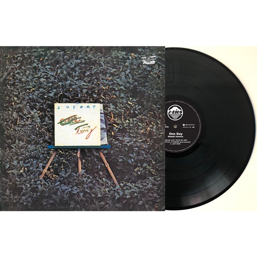 ONE DAY(1LP)