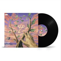 THE VOICE(1LP)